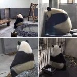 Panda deprimido
