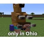 Ohio minecarft