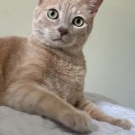 wally my beloved <3