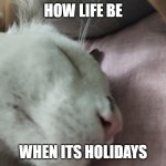 Holidays | HOW LIFE BE; WHEN ITS HOLIDAYS | image tagged in sleeping cat,funny,funny memes,cat,school,holidays | made w/ Imgflip meme maker