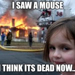 Disaster Girl | I SAW A MOUSE; I THINK ITS DEAD NOW... | image tagged in memes,disaster girl | made w/ Imgflip meme maker