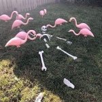 Flamingos and skeleton