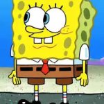 SPONGE