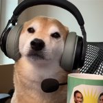 shiba meme