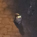 I SEE YOU MORTAL