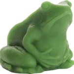 Frog preg