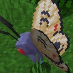 Cobblemon butterfree