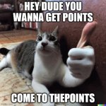 link in comments | HEY DUDE YOU WANNA GET POINTS; COME TO THEPOINTS | image tagged in cat with a thumbs up | made w/ Imgflip meme maker
