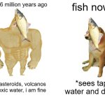 Buff Doge vs. Cheems Meme | fish 66 million years ago; fish now; i see asteroids, volcanos and toxic water, i am fine; *sees tap water and dies* | image tagged in memes,buff doge vs cheems | made w/ Imgflip meme maker