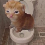herbert | image tagged in toilet seat up,herbert | made w/ Imgflip meme maker