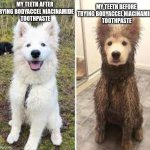 I've seen the ads | MY TEETH BEFORE 
TRYING BODYACCEL NIACINAMIDE 
TOOTHPASTE; MY TEETH AFTER 
TRYING BODYACCEL NIACINAMIDE 
TOOTHPASTE | image tagged in before and after clean vs dirty dog | made w/ Imgflip meme maker