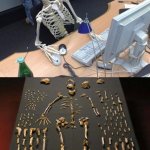 Waiting skeletons