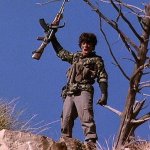 Wolverines