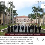 BRICS assholes