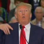 Trump #1 template