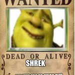 One piece wanted poster template | SHREK; WANTED FOR TO MUCH RIZZ | image tagged in one piece wanted poster template | made w/ Imgflip meme maker