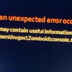 Zomboid crash
