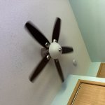 The Fan