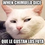 suspicious cat | WHEN CHIMUELO DICE; QUE LE GUSTAN LOS FUTA | image tagged in white cat suspicious | made w/ Imgflip meme maker
