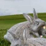 Bunn- oh, nevermind.
