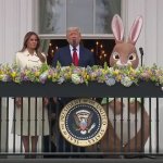trump bunny