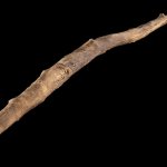 Wooden stick meme