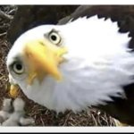 Can you tell me what this is?