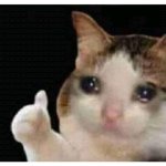 :( | I broke my right collar bone 2 days ago; yes, I typed this out with my left hand, I'm still recovering, I may not post for a few days or weeks. | image tagged in sad thumbs up cat,have a good day,sad but true | made w/ Imgflip meme maker