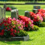 flowers on graves gravestones