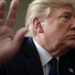 trump talk to my hand