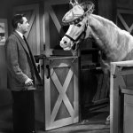 Mr Ed May the horse be with you meme