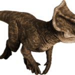 Microceratus 4 (JWD Design)
