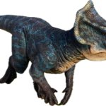 Microceratus 5 (JWD Design)