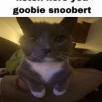 listen here you goobie snoobert