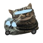 Car template