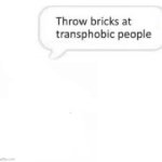 Throw bricks at transphobic people