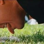 White dog poop