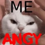 Grr So Angy Cat GIF Template