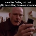NOOOOOOOOOO | me after finding out that imgflip is shutting down on november 3 | image tagged in gifs,imgflip,discontinued,discontinuation | made w/ Imgflip video-to-gif maker