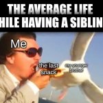 Sometimes its fun, sometimes its just... this. | THE AVERAGE LIFE WHILE HAVING A SIBLING:; Me; the last
snack; my younger
brother | image tagged in swiping seagull,funny memes | made w/ Imgflip meme maker