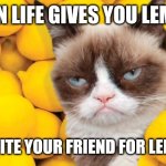Grumpy Cat lemons | WHEN LIFE GIVES YOU LEMONS; YOU INVITE YOUR FRIEND FOR LEMONADE | image tagged in memes,kitty,lemons | made w/ Imgflip meme maker