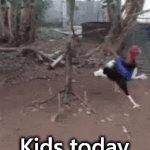 Trying to move out and get on with your life | Kids today 
chasing your 
dreams | image tagged in gifs,dreams,life,keep going | made w/ Imgflip video-to-gif maker