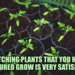 Watching plants grow is relaxing | WATCHING PLANTS THAT YOU HAVE NURTURED GROW IS VERY SATISFYING | image tagged in gardening | made w/ Imgflip meme maker
