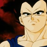 Vegeta stare