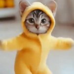 cat ai dance GIF Template