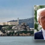 Libtards Heads Explode About  Alcatraz meme