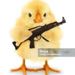 Preppy duck