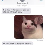 Well behaved landlord
