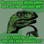 Philosoraptor | No reasonable philosopher dare ask the question WHY; It’s much like asking “why can’t dead penguins fly?” | image tagged in memes,philosoraptor | made w/ Imgflip meme maker