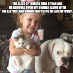 vegetables are healthy except when they're on burgers | THE SLICE OF TOMATO THAT 8 YEAR OLD ME REMOVED FROM MY BURGER ALONG WITH THE LETTUCE AND ONIONS WATCHING ME ADD KETCHUP: | image tagged in replaced,relatable memes,memes,picky eater | made w/ Imgflip meme maker